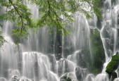 2026 冰雪世界杯籌備最新动态：中国自由式滑雪队的备战大名单，中国自由滑雪冠军